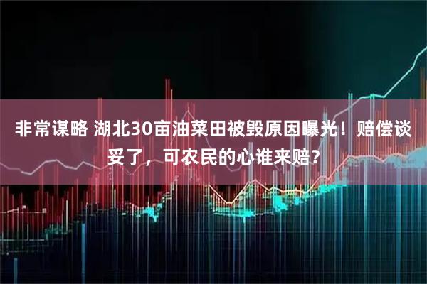 非常谋略 湖北30亩油菜田被毁原因曝光！赔偿谈妥了，可农民的心谁来赔？